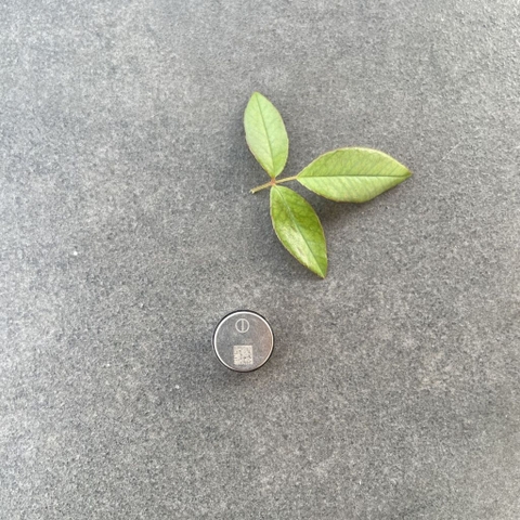 Pin tai nghe MC-POWER 1254 3.7v 60mah hàng xịn