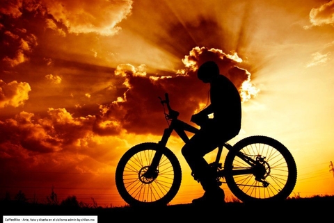 Chính Sách Nhượng Quyền Thương Hiệu Feros – Cơ Hội Đầu Tư Bền Vững Năm 2025