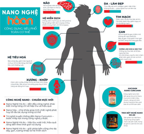 Ancumin Nano Curcumin – Giải pháp hỗ trợ toàn diện từ Nano Nghệ Hà An