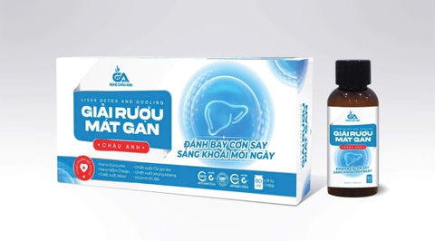 Giải Rượu mát Gan Châu Anh (lốc 6 hộp/36 chai)