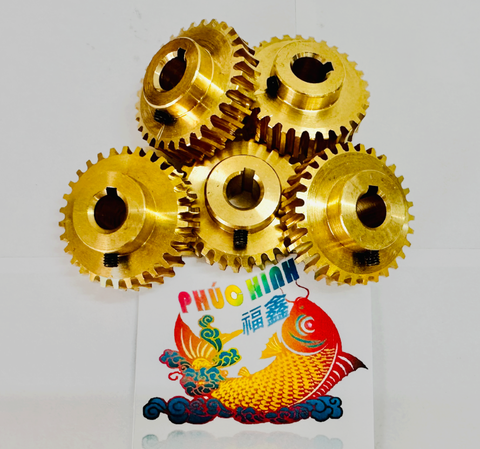 Nhông đồng máy lạng