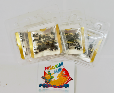 Ốc yếm thuyền máy may/Ốc chữ thập