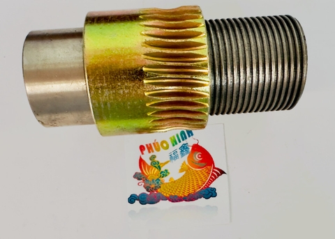 Nhông cốt - nhông lạng