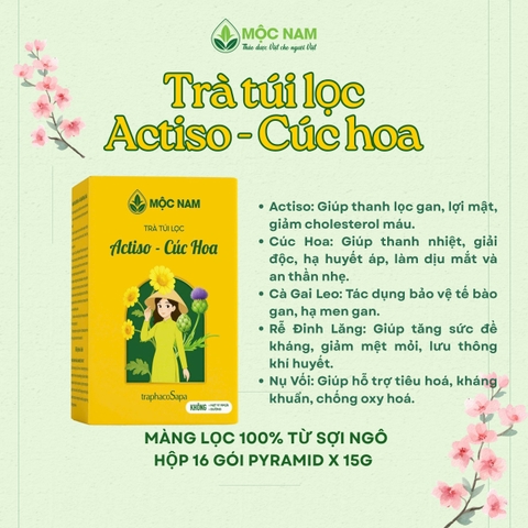 Trà thảo mộc Actiso – Cúc Hoa Mộc Nam