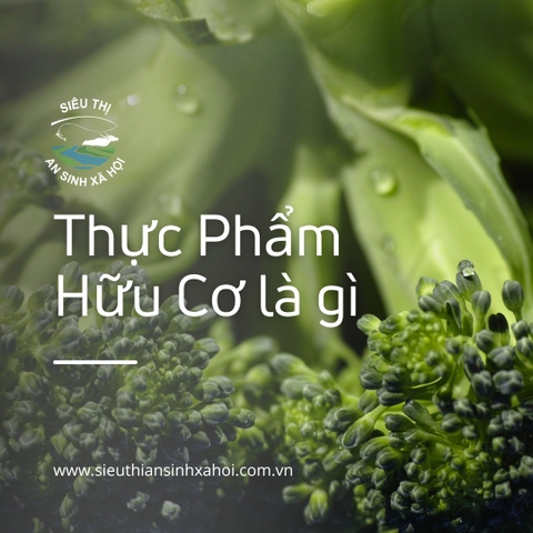 Thực Phẩm Organic - Hữu Cơ