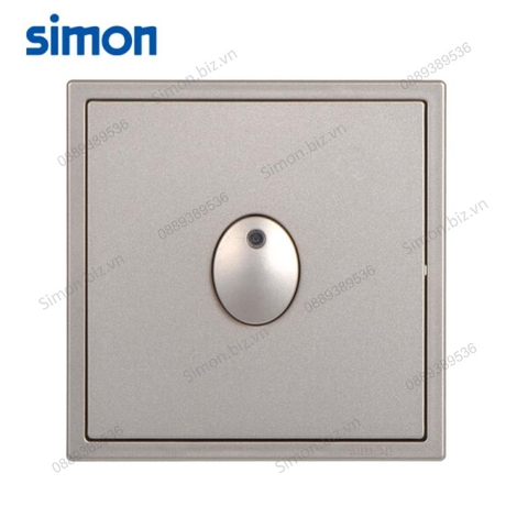 Module công tắc thời gian đặt thời gian trễ 160W màu sâm panh Simon i7 70E501-46