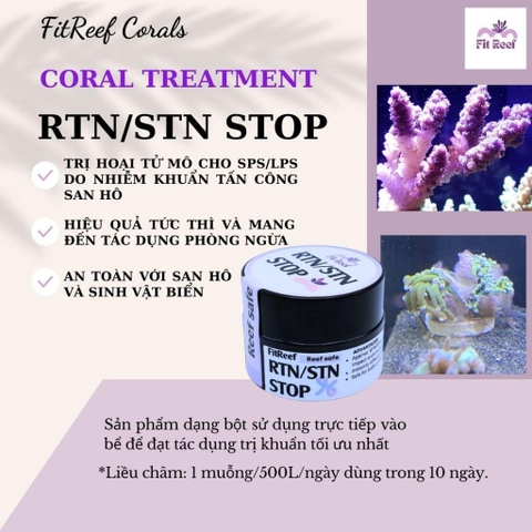 FitReef RTN stop - phương pháp hiệu quả trị RTN/STN hoại tử (Rapid/slow tissue necrosis) ở san hô