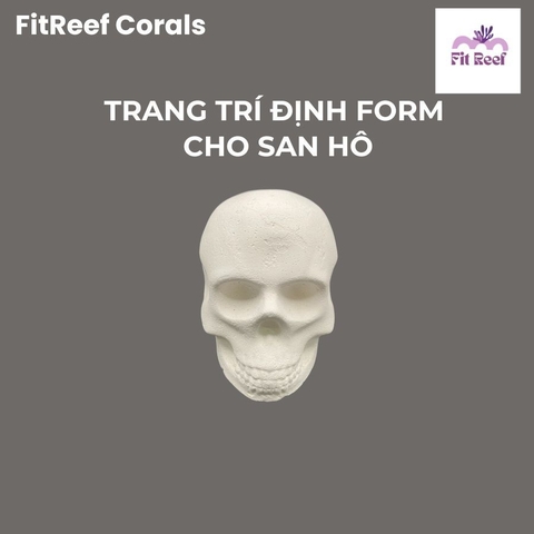 Tượng đầu lâu trang trí tạo hình cho san hô