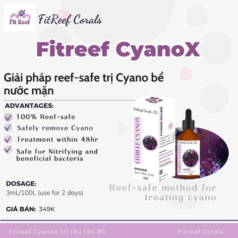 FitReef CyanoX xử lý cyano (rêu tảo đỏ) reef-safe an toàn cho hệ vi sinh