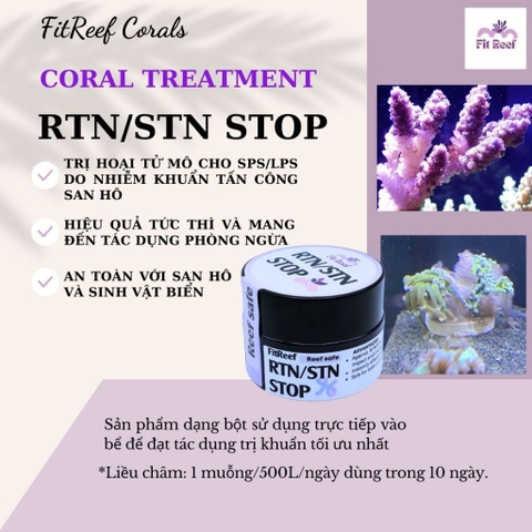 FitReef RTN stop - phương pháp hiệu quả trị RTN/STN hoại tử (Rapid/slow tissue necrosis) ở san hô