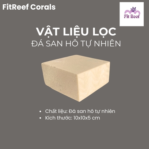 Vật liệu lọc cao cấp bằng đá san hô tự nhiên chuyên dùng cho bể nước mặn (kích thước từ nhỏ đến trung)