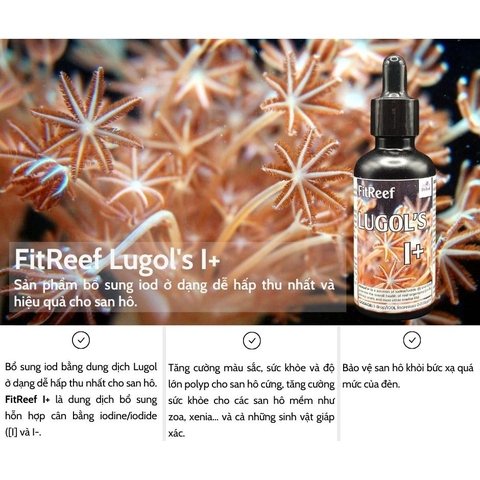 FitReef Lugol's I+ dung dịch bổ sung iod hỗn hợp cân bằng cho san hô
