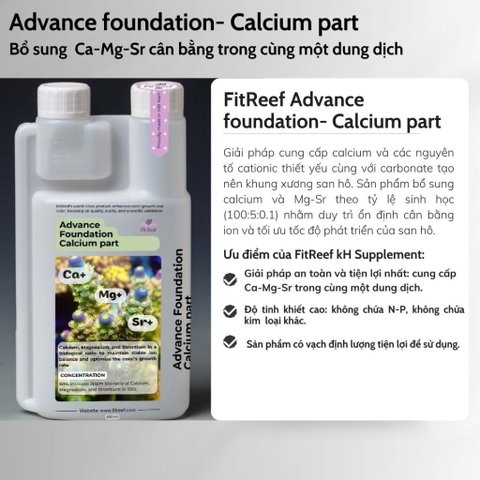 FitReef advance foundation Calcium part - sản phẩm bổ sung Sản phẩm bổ sung Calcium và Mg-Sr theo tỷ lệ (100:5:0.1)