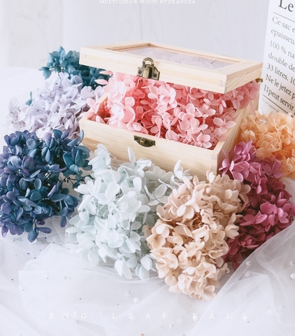 HOA CẨM TÚ CẦU KHÔ LOẠI 1 TRANG TRÍ NẾN/THIỆP/CRAFTBOOK HANDMADE T.CRAFT HOUSE