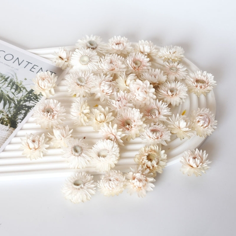 COMBO 3 HOA CÚC TRẮNG SẤY KHÔ TRANG TRÍ NẾN/THIỆP/CRAFTBOOK HANDMADE T.CRAFT HOUSE