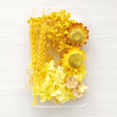 HỘP HOA KHÔ CAO CẤP ĐỦ LOẠI TRANG TRÍ TẬP SÁCH, THIỆP, SỔ VÀ LÀM NẾN T-CRAFT ^^