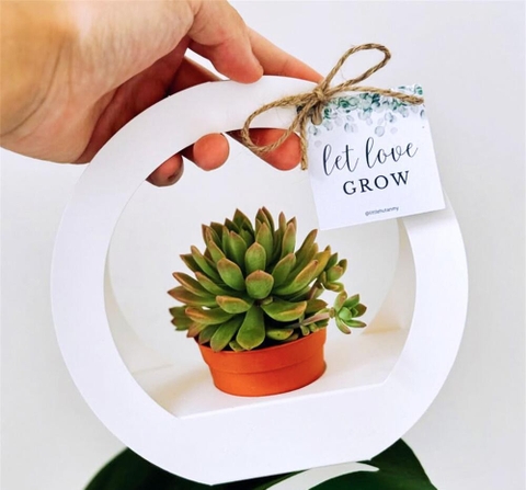 SET 5 HỘP GIẤY CẮM HOA HÌNH TRÒN CÓ QUAI XÁCH CAO CẤP T.CRAFT HOUSE