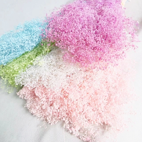 HOA BABY BLOOM KHÔ LOẠI 1 TRANG TRÍ NẾN/THIỆP/CRAFTBOOK HANDMADE T.CRAFT HOUSE