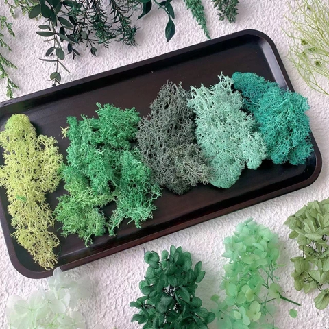 (10g) RÊU TUẦN LỘC KHÔ TRANG TRÍ NẾN/THIỆP/CRAFTBOOK HANDMADE T.CRAFT HOUSE