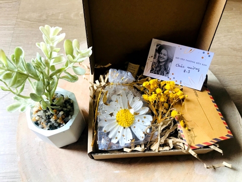 BỘ QUÀ TẶNG THẠCH CAO THƠM HANDMADE HÌNH HOA CÚC KÈM TINH DẦU 3ML T.CRAFT HOUSE