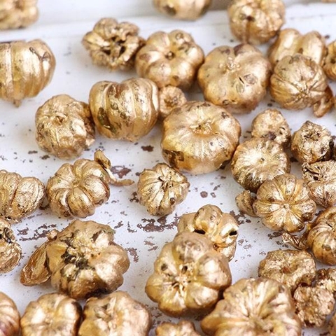 BÍ NGÔ SẤY KHÔ TRANG TRÍ NẾN/THIỆP/CRAFTBOOK HANDMADE T.CRAFT HOUSE