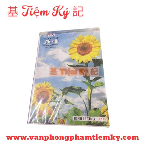 Bìa trắng A4 định lượng 250 Xấp 100 Tờ