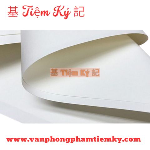 Giấy bìa cứng trứng A0 C300