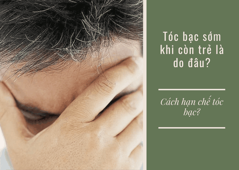 Nguyên nhân tóc bạc sớm ở người trẻ? Cách hạn chế tóc bạc?