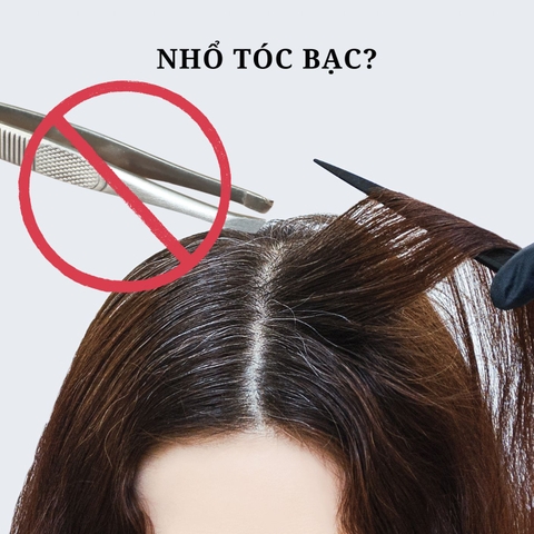 Có nên nhổ tóc bạc? Cách hạn chế tình trạng tóc bạc sớm