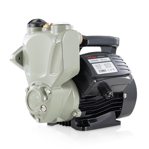 Máy bơm nước chân không Rheken JLm 60-400