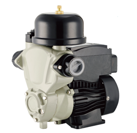 Máy bơm tăng áp tự động Rheken JLm 60-130A
