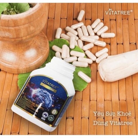 Bổ não VITATREE MAXI GINKGO 9500 60 Viên- Tăng tuần hoàn máu não