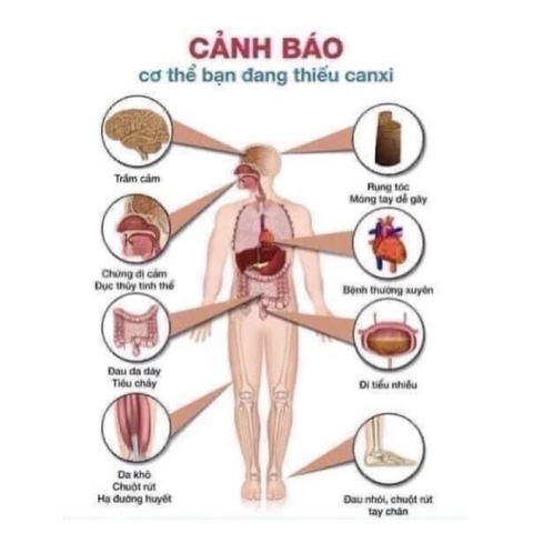 Viên uống bổ sung canxi hữu cơ CITRACAL Maximum Calcium citrate 280viên