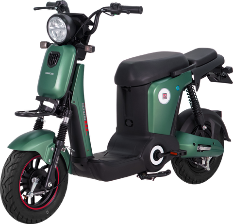XE ĐẠP ĐIỆN OSAKAR MANDI
