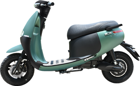 XE MÁY ĐIỆN OSAKAR GOGO SS