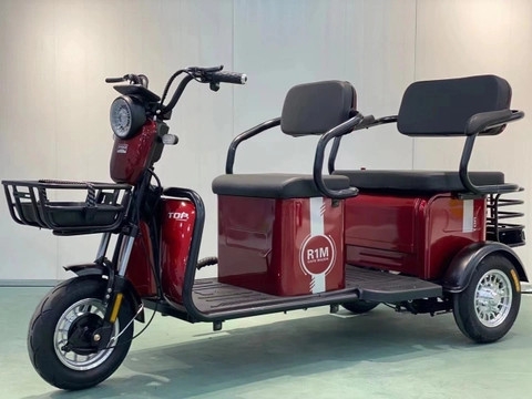 XE ĐIỆN 3 BÁNH TẢI THÙNG V1