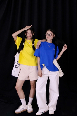 A27877 - A thun boxy thêu Beautiful