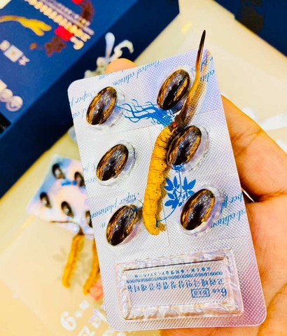 Viên thiên sâm đông trùng hạ thảo Hàn Quốc King Ginseng hộp 180 viên