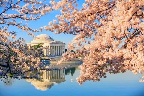 [2024] LIÊN TUYẾN ĐÔNG – TÂY HOA KỲ 10N9Đ EVA MÙA HOA ANH ĐÀO ĐẸP LỘNG LẪY TẠI WASHINGTON DC