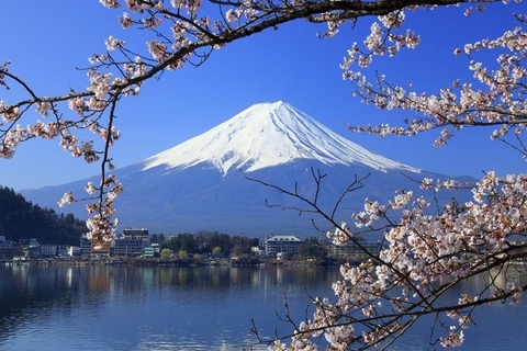 [2024] MÙA HOA ANH ĐÀO NHẬT BẢN 6N5Đ VNA OSAKA–KOBE–KYOTO–NÚI PHÚ SỸ–TOKYO