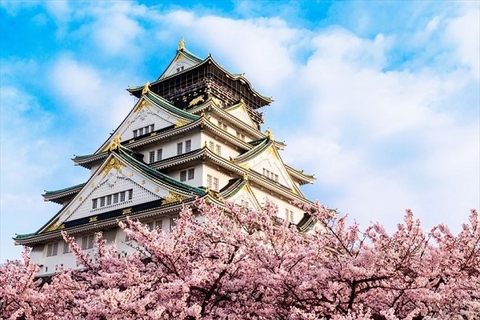 [2024] NHẬT BẢN MÙA HOA ANH ĐÀO 6N5Đ NH TOKYO-FUJI.MT-NAGOYA-KYOTO-OSAKA