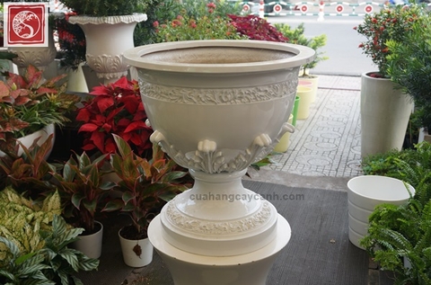 Chậu Cổ Điển W05