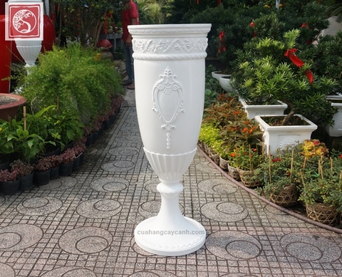 Chậu Cổ Điển W17