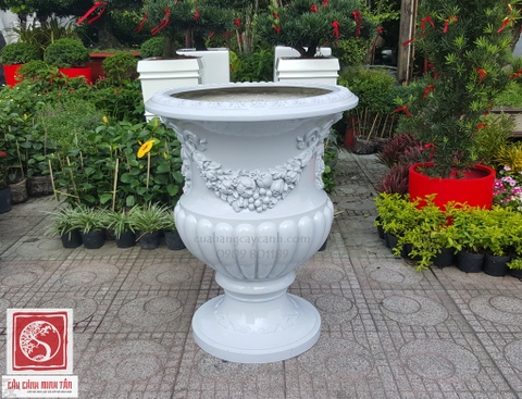 Chậu Cổ Điển W10