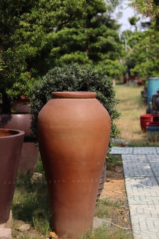 Chậu Đất Nung DN038