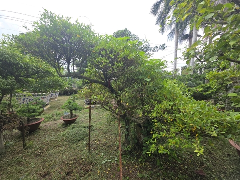Si A-K-Si-003