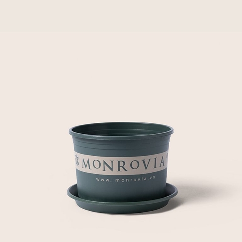 Chậu nhựa Monrovia L