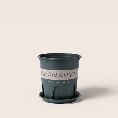 Chậu nhựa Monrovia M