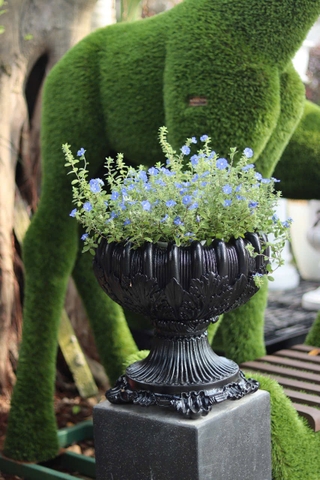 Chậu Cổ Điển W01