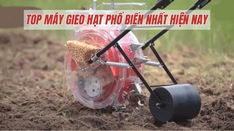 Top Máy Gieo Hạt Phổ Biến Nhất Hiện Nay